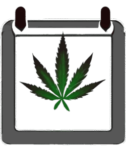 Calendar with a cannabis leaf for medical cannabis recertification